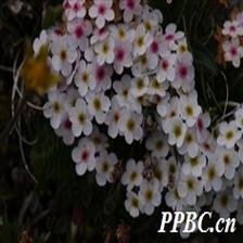 Background Image 10