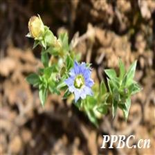 Background Image 11