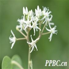 Background Image 45