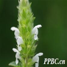 Background Image 50