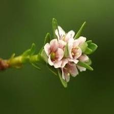 Background Image 66