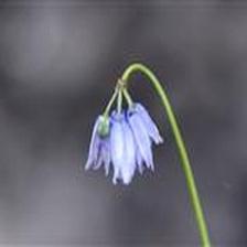 Background Image 68