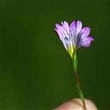 Background Image 70