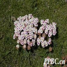 Background Image 76
